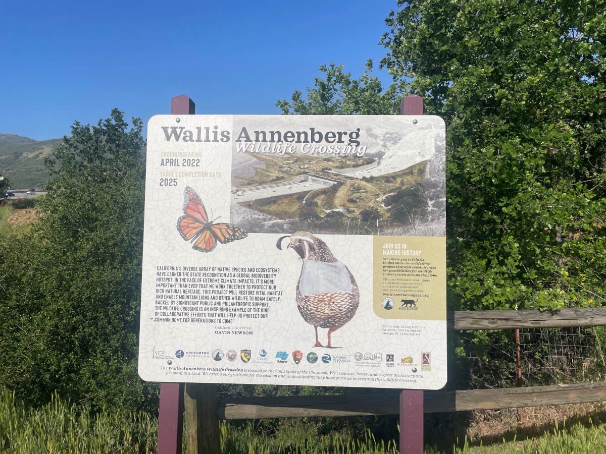 全米ワーストの交通渋滞都市であるロサンゼルス近郊に「動物専用ブリッジ」が建設されるワケ　