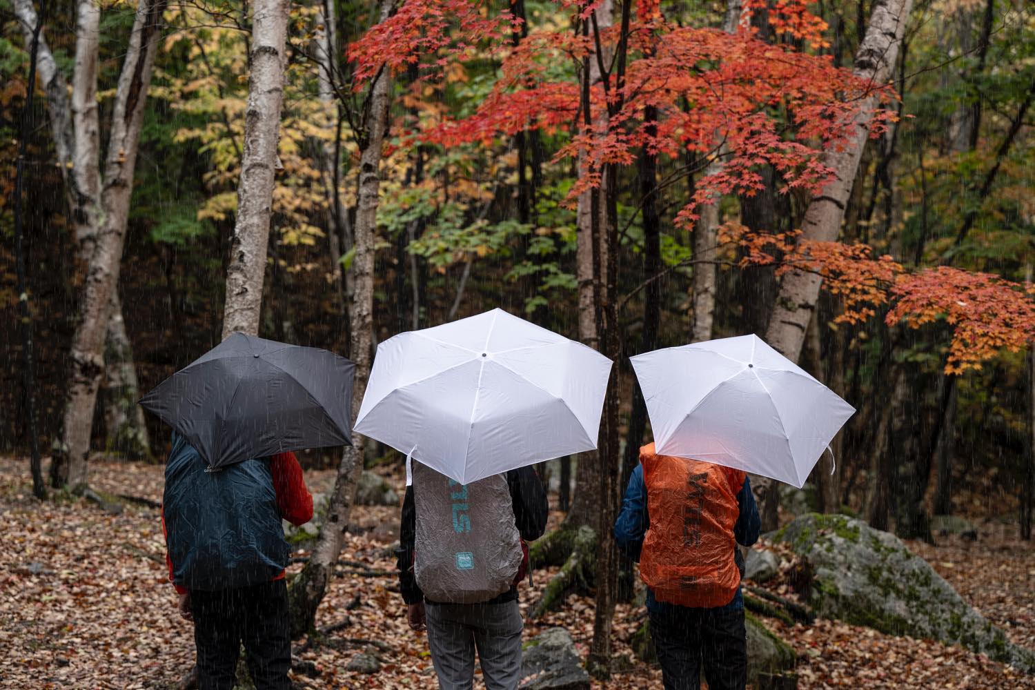 EVERNEW（エバニュー）／Airy wide U.L. umbrella