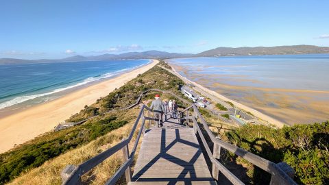 アウトドアの楽園！人気急上昇中のタスマニア「ブルーニー島」へ