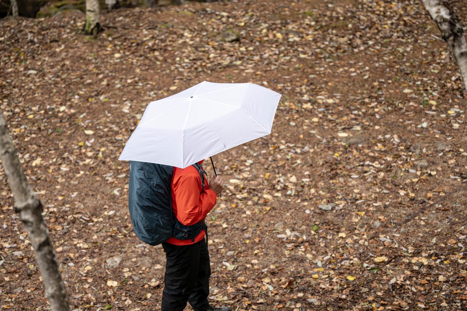 EVERNEW（エバニュー）／Airy wide U.L. umbrella