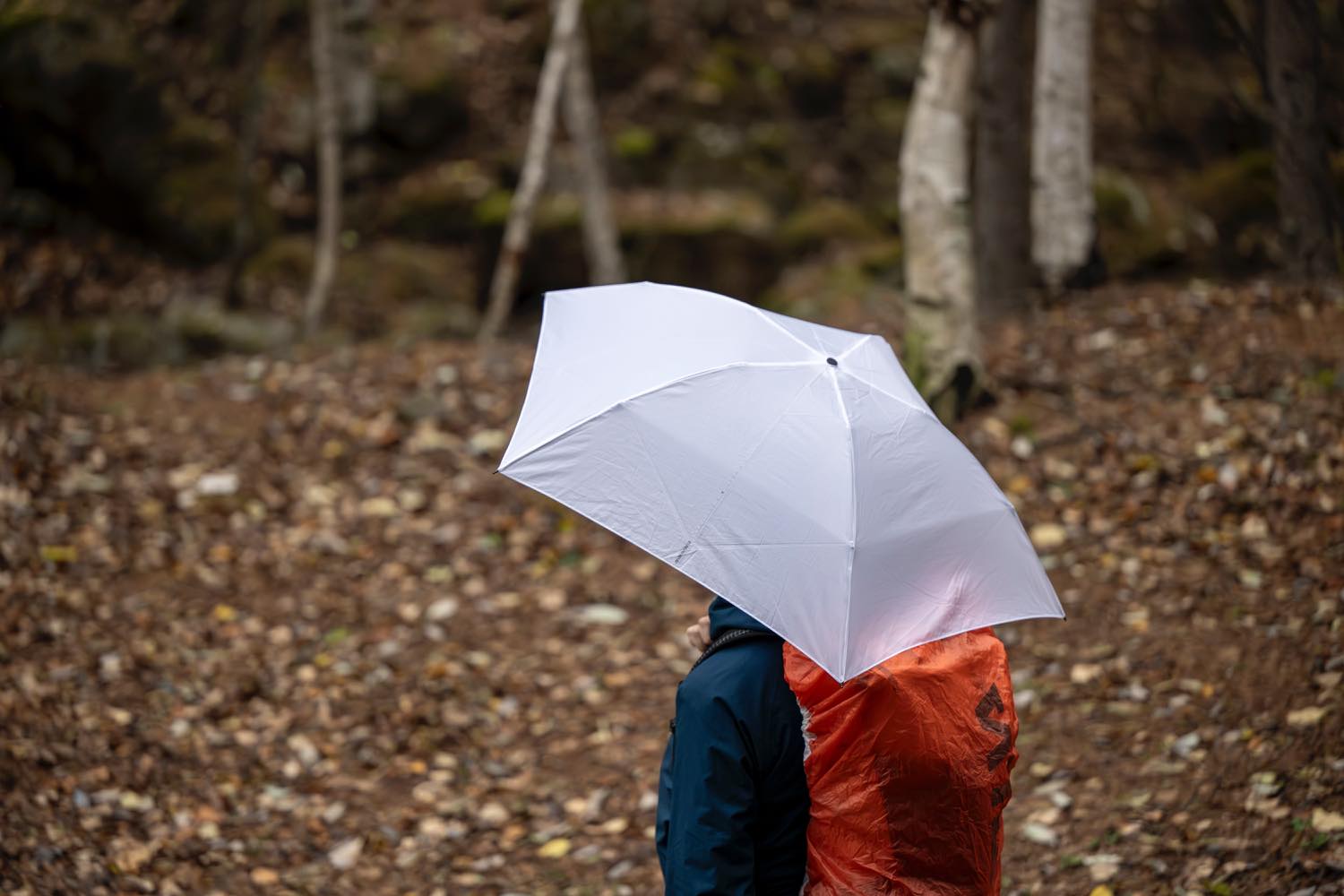 EVERNEW（エバニュー）／Airy L.F umbrella