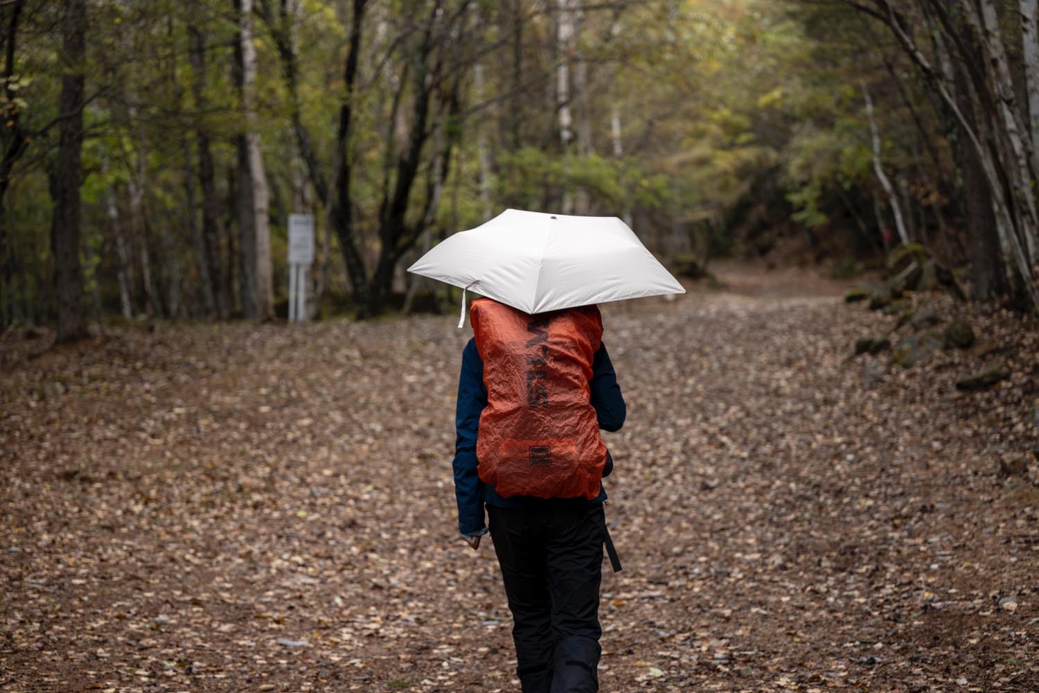 EVERNEW（エバニュー）／ U.L.Raybrella