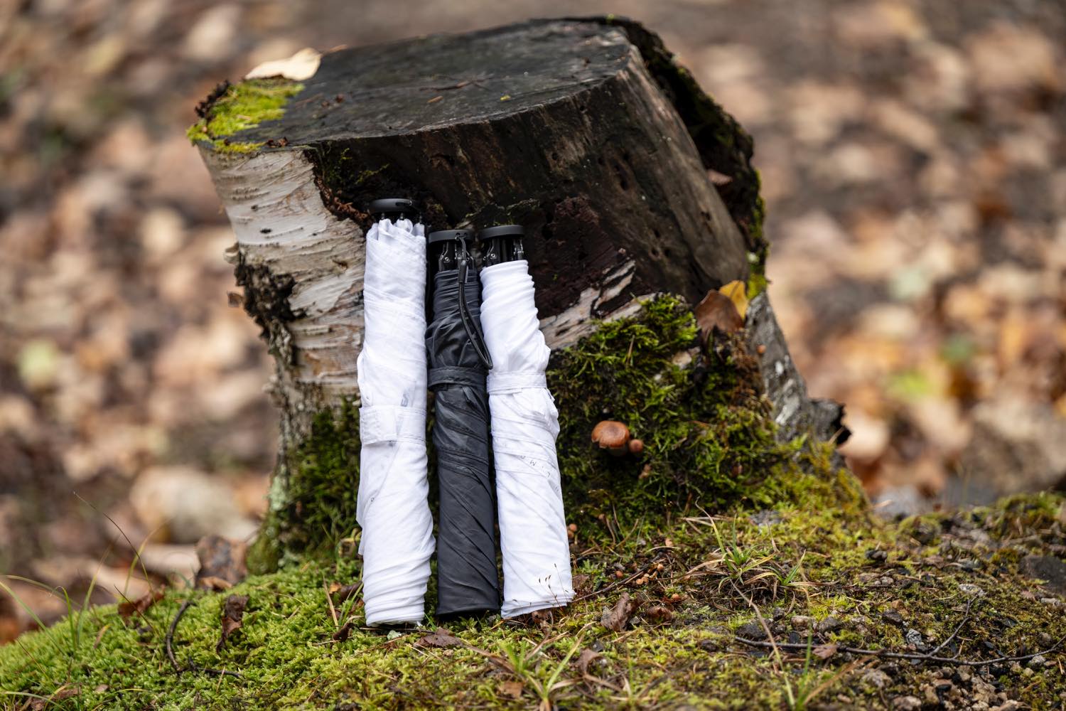 EVERNEW（エバニュー）／Airy L.F umbrella