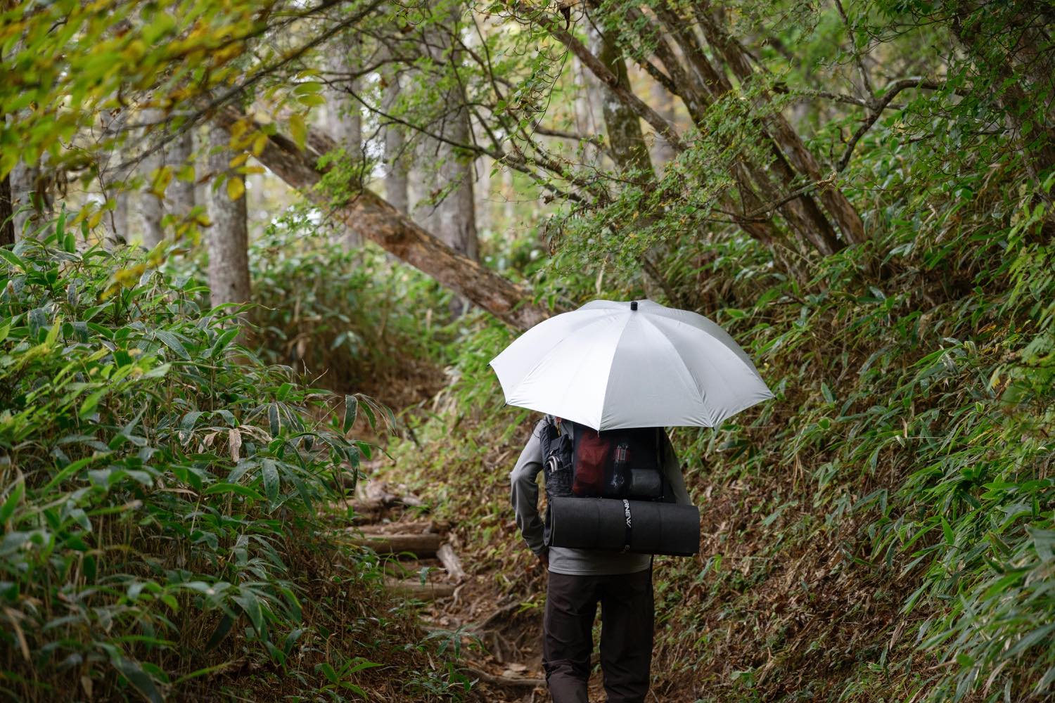 EVERNEW（エバニュー）／ SHADOW Master 70