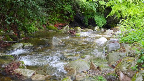 日本最大の湖から「水」を考えるため、琵琶湖に注ぐ川の上流域にイワナを見にいった！