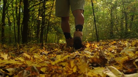 アイスエイジ・トレイル、地元の人が整備する気持ちの良い道を歩く