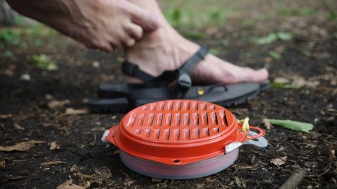 空間を守る赤い渦巻き「森林香」の魅力。