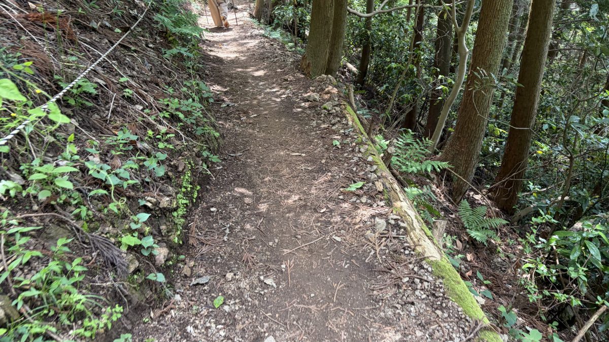 登山道