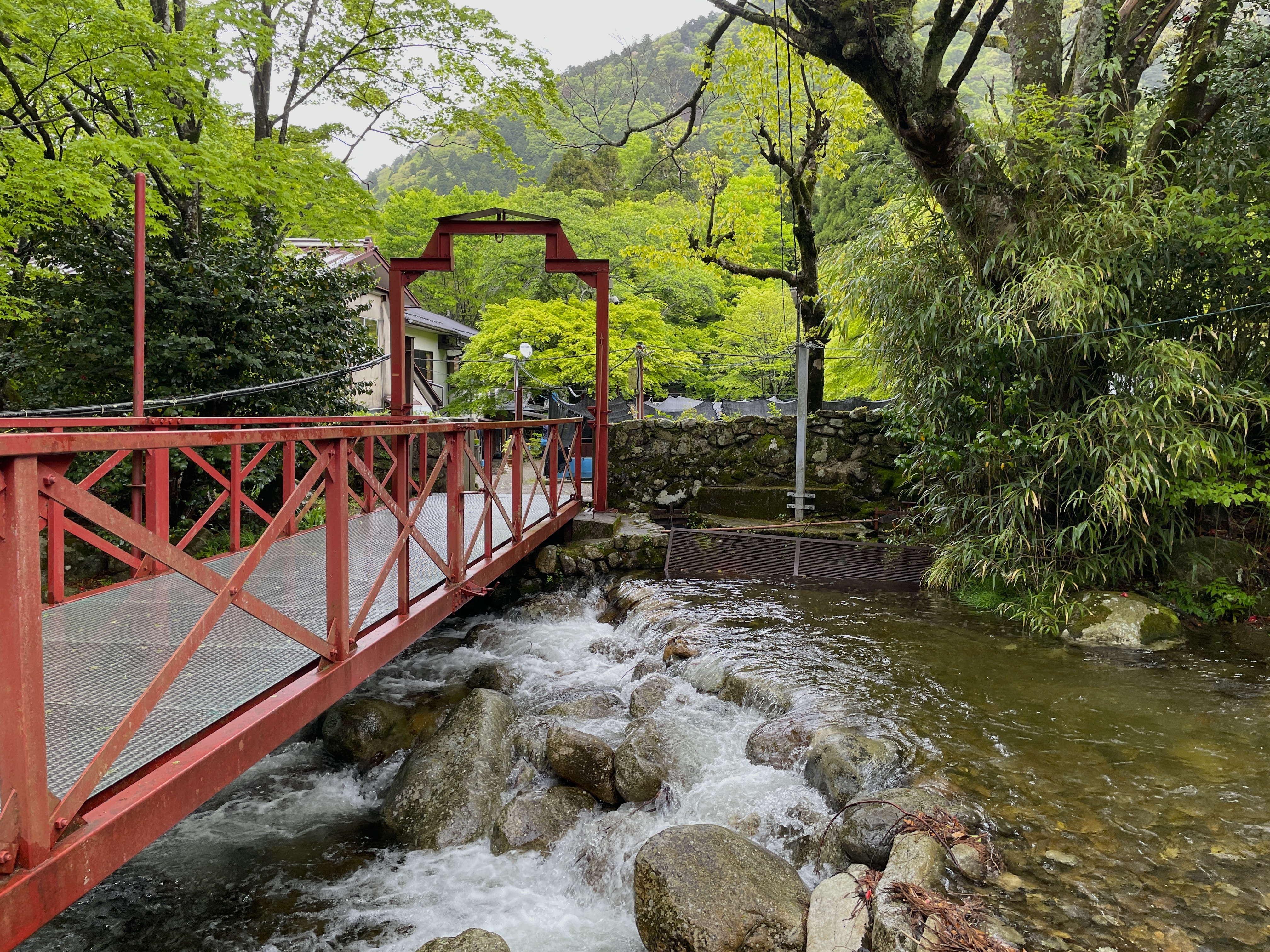 日本最大の湖から「水」を考えるため、琵琶湖に注ぐ川の上流域にイワナを見にいった！