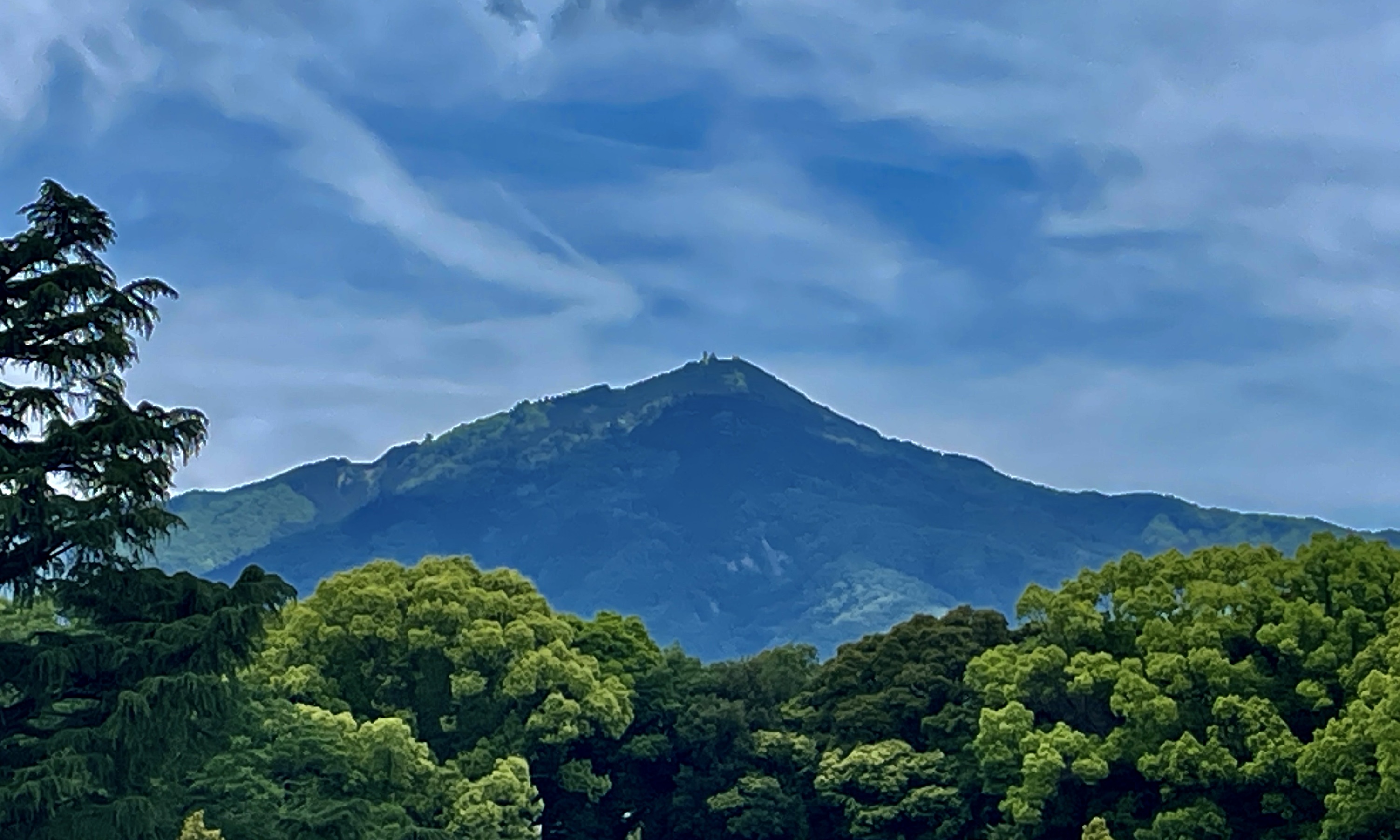 精神を異常にする星 羊刃 高山京三 京料理に欠かせないサンショウの香りに誘われて、鬼の子孫が住まう八瀬