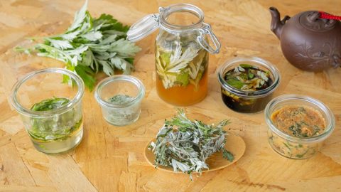 香り高い「よもぎ」で仕込む、さ・し・す・せ・そ調味料レシピ
