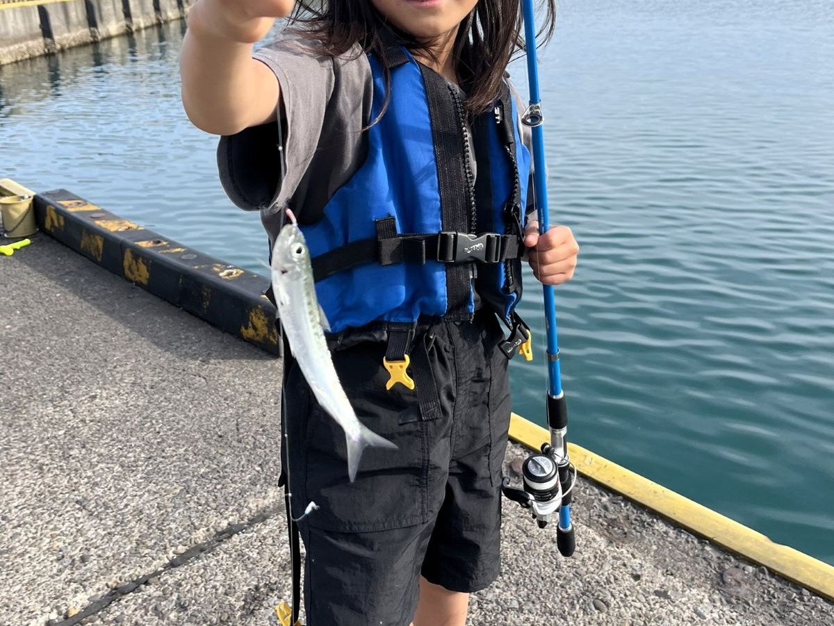 外房・勝浦漁港で初の”入れ食い”を経験した日。たくさん釣ったイワシをどう食べる？