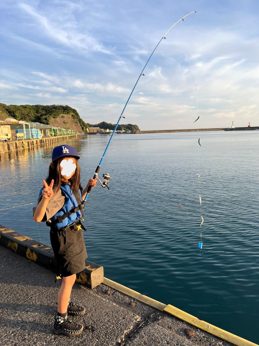すべての針にイワシがかかっている