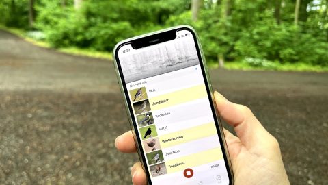 君の名は…？気になるさえずりの正体を探しに、野鳥判別アプリを片手にオランダの森をさまよう
