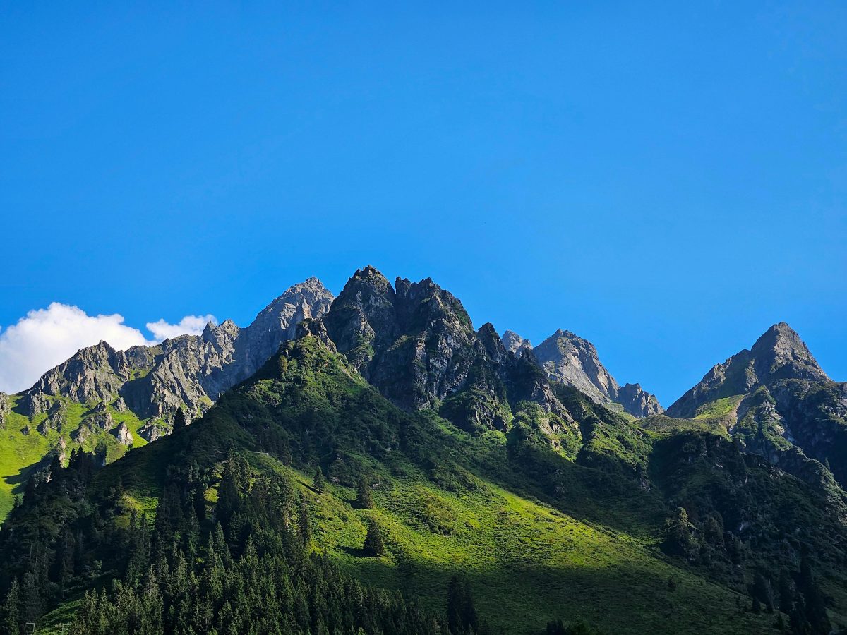 青々とした山
