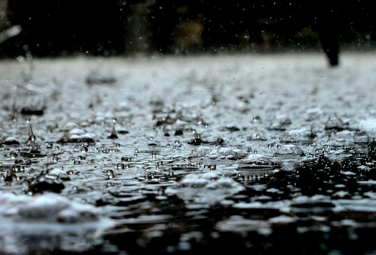 雨の降る地面
