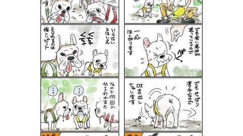 つの丸さんの愛犬マンガ付き！ わんこにも柑橘好と苦手な子がいました