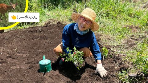72歳YouTuber「ウリウリばあちゃん」の田舎暮らし。獣たちと折り合うために、森の端っこでハーブ畑を作る