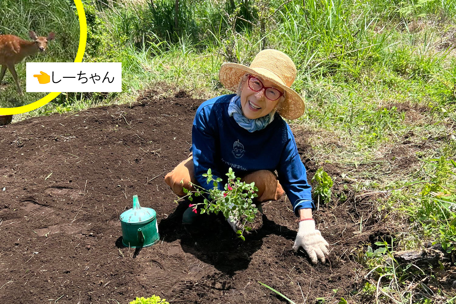 72歳YouTuber「ウリウリばあちゃん」の田舎暮らし。獣たちと折り合うために、森の端っこでハーブ畑を作る