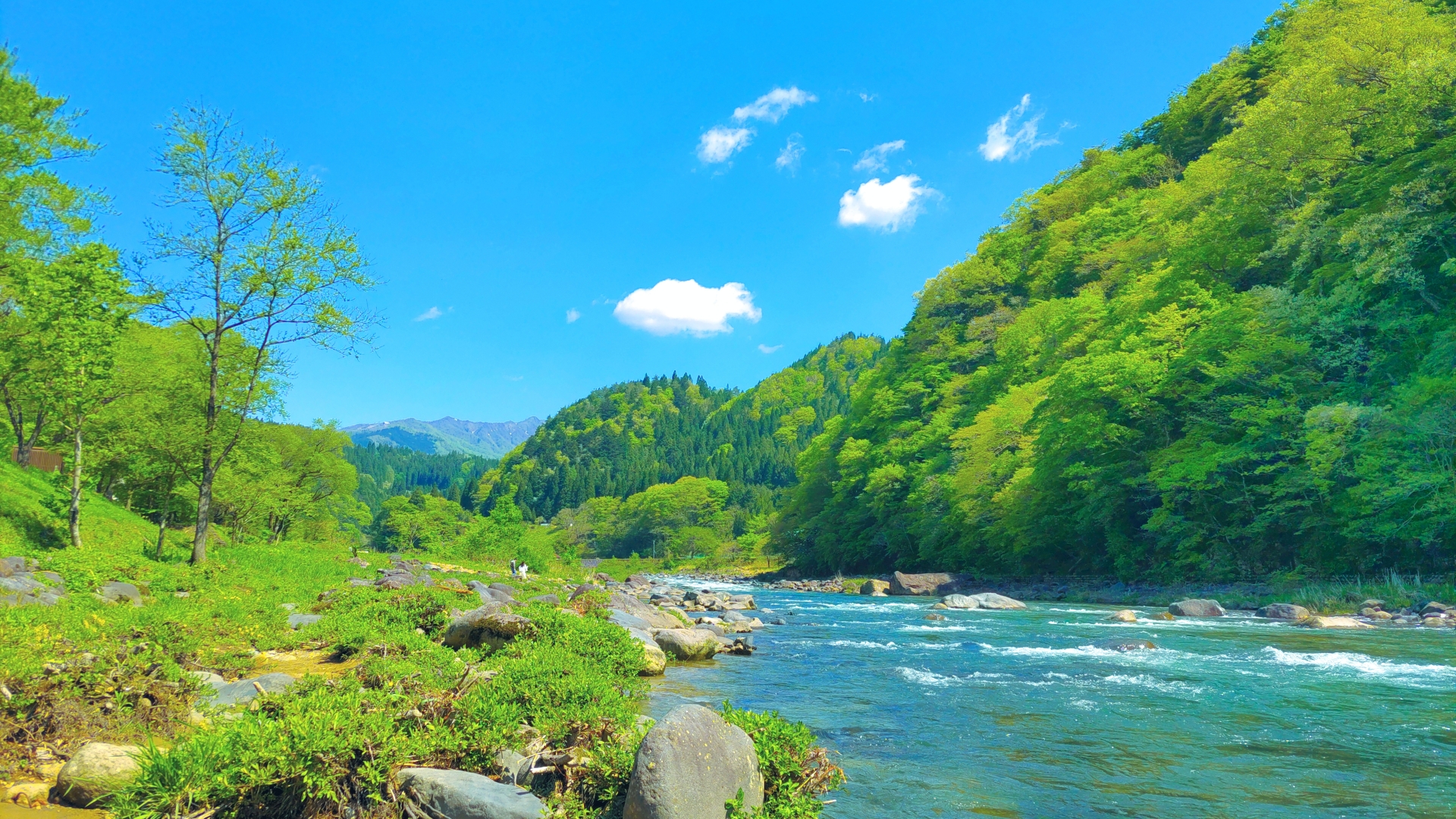 岐阜で夏の避暑を満喫！家族・初心者におすすめの避暑スポット15選