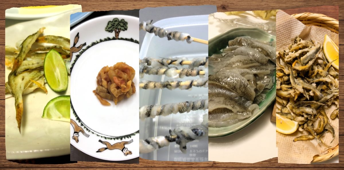 釣ったハゼは美味しい！気軽な「から揚げ」をはじめ、味にこだわる７種の絶品レシピを紹介