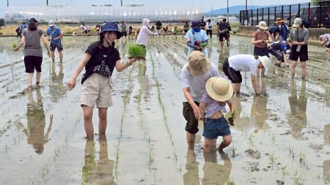 呑兵衛が集まる田植えで外飲み！？ファンが支える京都の酒米プロジェクト