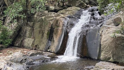 魚であふれる滝！？タイ最大の国立公園にある「パーラウー滝」で子どもと楽しむお手軽渓流ハイク