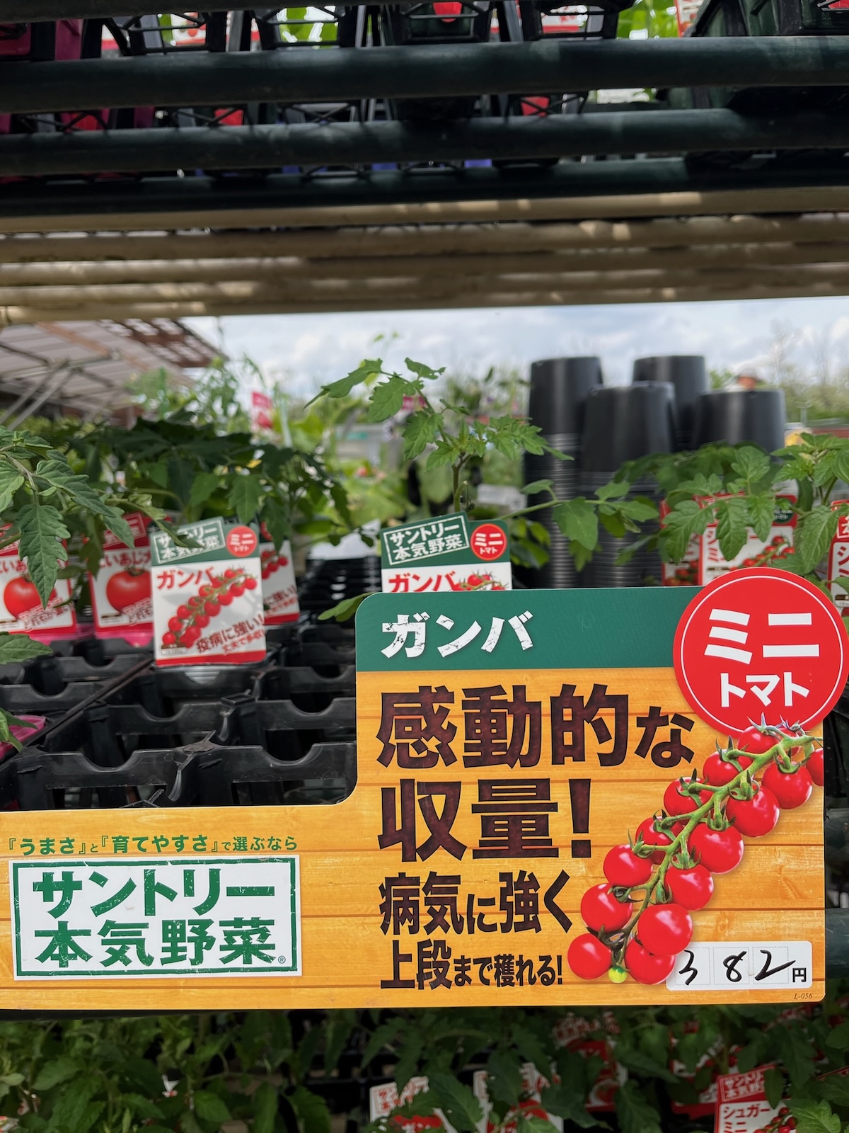 なぜ、お酒の会社が野菜の苗を作るのか？　家庭菜園でサントリーの苗が人気の理由
