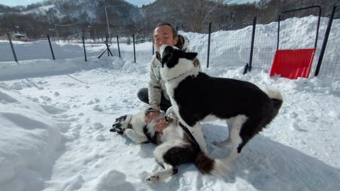 黒田未来雄からの手紙「北海道にベアドッグを。人とヒグマの新しい未来を創る」【6月30日までクラファン受付中】