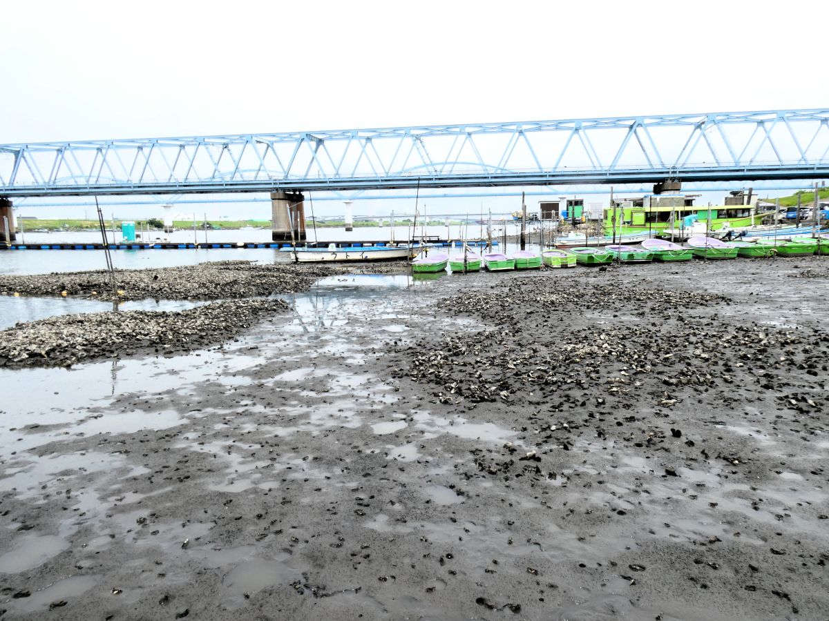 干潮の浅瀬