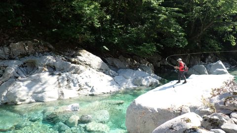 夏のフライフィッシングは飛騨と熊野へ。秘境源流の「天空イワナ」と深い森で「夏ヤマメ」を狙う！