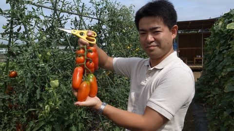 なぜ、お酒の会社が野菜の苗を作るのか？　家庭菜園でサントリーの苗が人気の理由