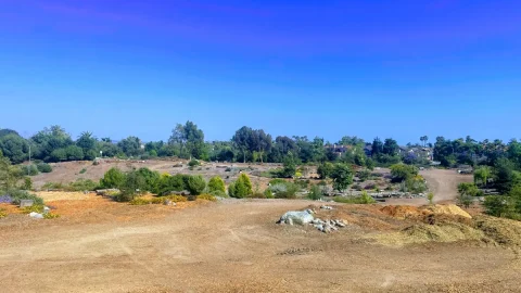 カリフォルニアのサーフシティUSAに誕生した「都会の森」。油田跡地から“自然を育てる場所”への再生物語