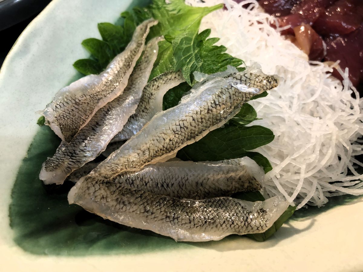 皿に盛りつけたハゼの昆布締め