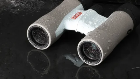 名門ビクセン×コールマンの実力派コラボ！防水仕様＆本格光学性能の双眼鏡2モデルをチェック