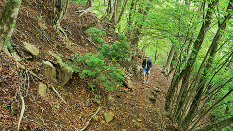 【富士山 外輪山ハイキング】歩いてしか行けない＂大展望台＂を巡り、日本一の山を堪能！