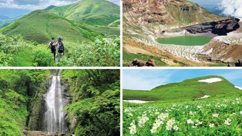 東北へハイキングに行こう！高山植物に出会い絶景に圧倒されるおすすめスポット