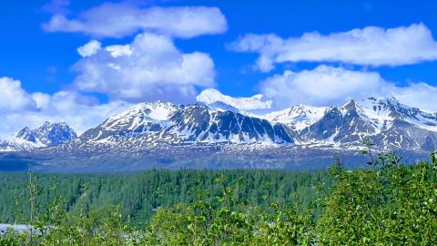 遙かなるデナリを眺めて―――アラスカにある北米最高峰を前に、植村直己さんを偲ぶ