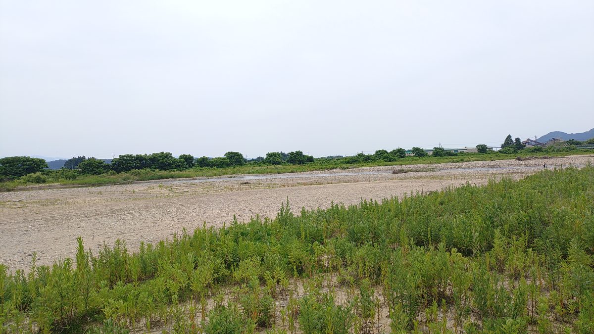 支流高根川