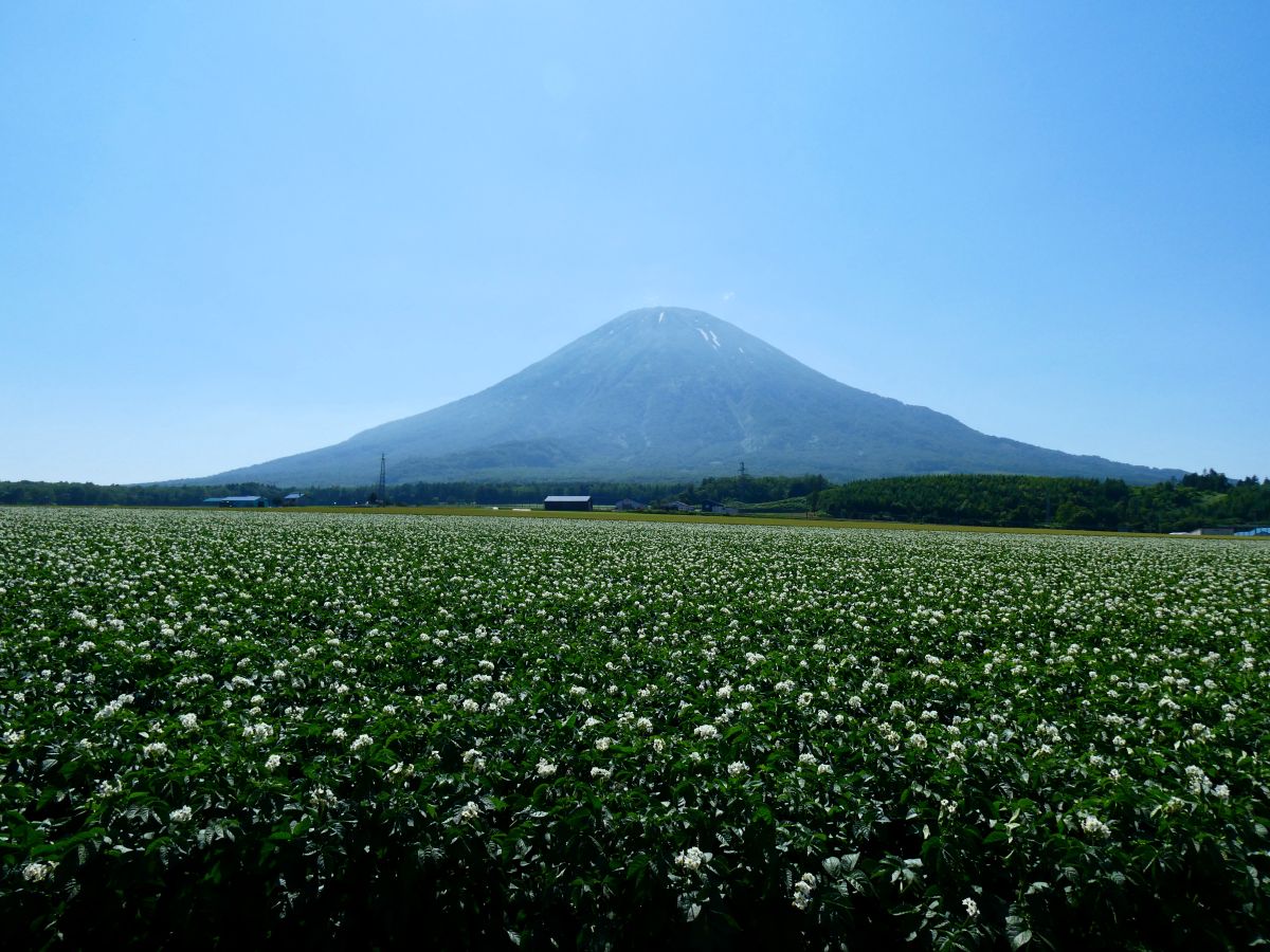 羊蹄山