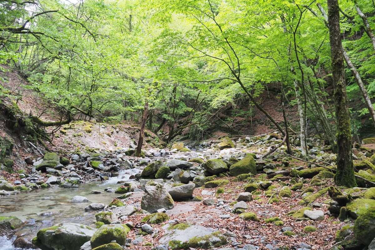 渓谷