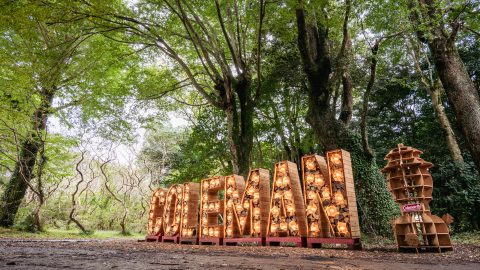日本創業50周年の記念イヤー！ 10/30～11/1、コールマンのキャンプイベント「The Coleman Camp 2026」が開催決定