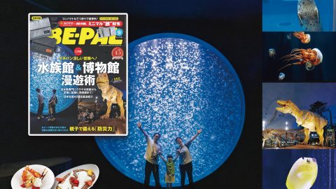 ビーパル9月号は「水族館＆博物館」大特集！ 特別付録は「SOTO ミニマル“旅”財布」です！