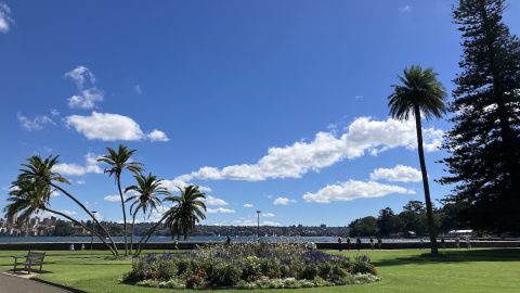 子どもと学びながら楽しく散策！シドニー王立植物園の教育イベントが面白い