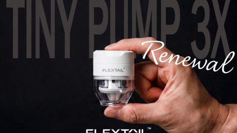 手のひらサイズ！ランタン機能も付いたFLEXTAILの新型エアポンプがキャンプで大活躍