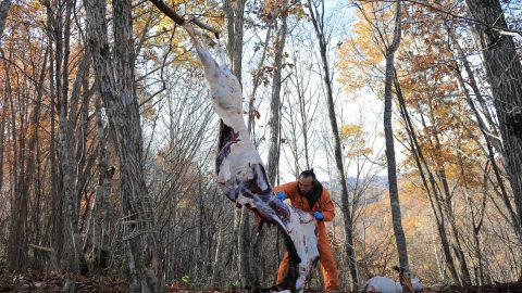 脱サラ漁師の黒田未来雄、「コール猟」で大物を狙う！