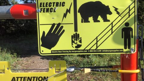 「あなたはクマの土地にいる」ユーコナー流、クマと共生するライフスタイル