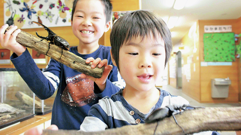 自然と触れ合う虫好き・植物好きの楽園7選！