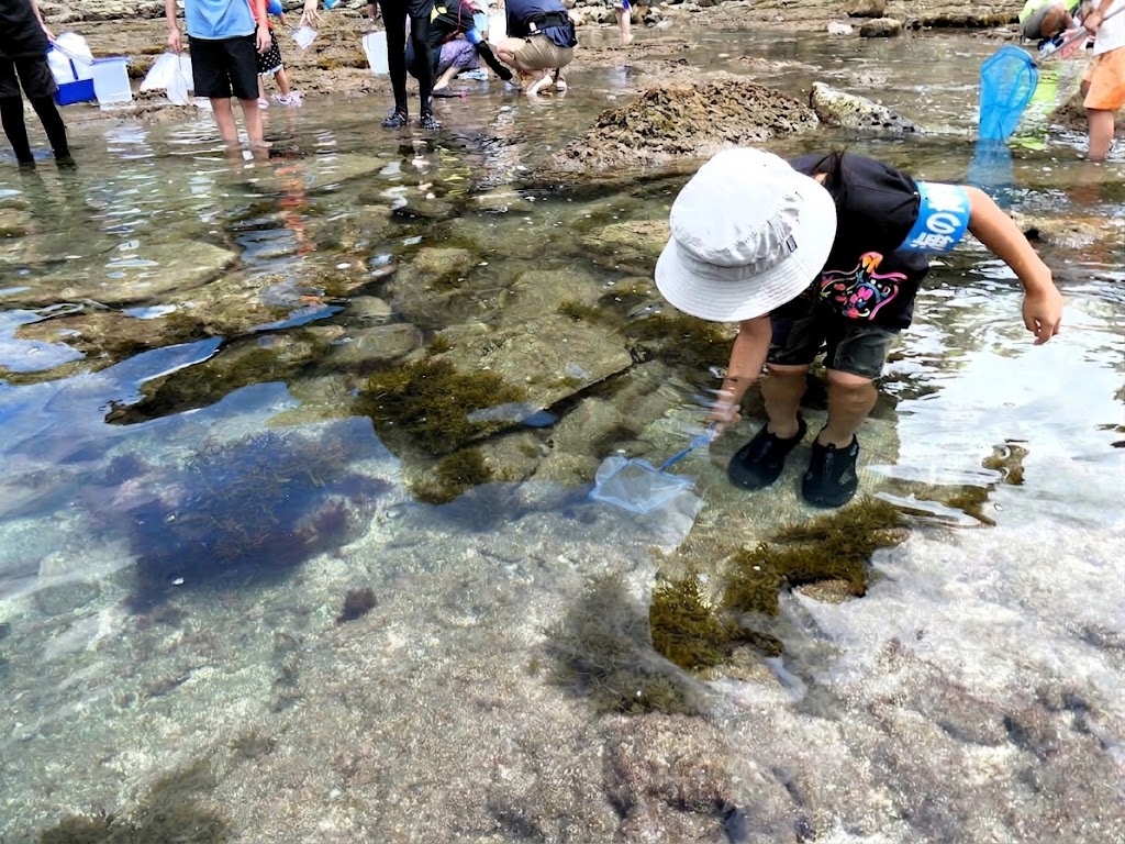 魚を追う次男