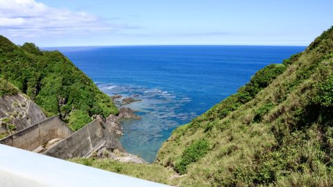 希少な生物と絶景に出会える南国ハイク。沖縄で登山できるおすすめスポット！